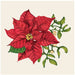 Hester & Cook Poinsettia Beverage Napkins | 20ct - Zurchers