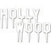 Hollywood Plastic Picks | 1 ct - Zurchers