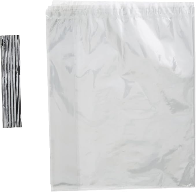 6ct Large Clear Gift Bag 
