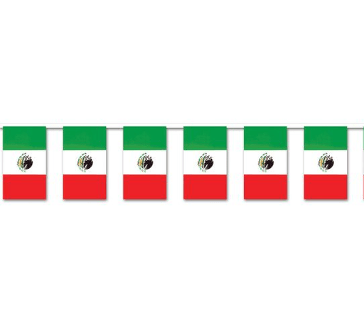 Mexican Flag Pennant Banner | 1ct