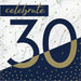 Navy & Gold Milestone Celebrate 30 Lunch Napkins | 16ct - Zurchers