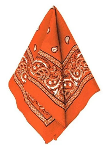 Orange Bandana 20" | 1ct - Zurchers