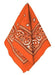 Orange Bandana 20" | 1ct - Zurchers