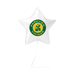 Star-shaped balloon with Parkview Vikings logo on a white background