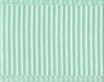 Pastel Green Grosgrain Ribbon 3/8" | 15yds - Zurchers
