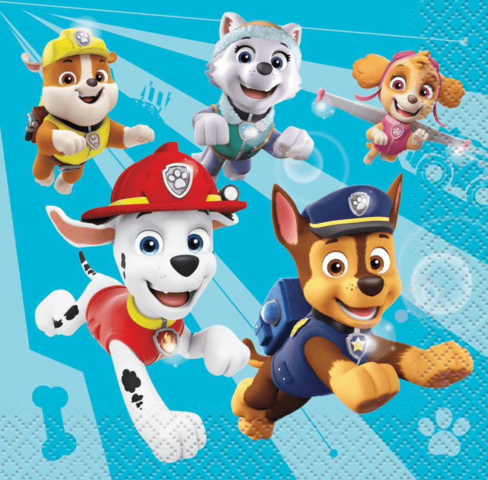 pawpatrolBN