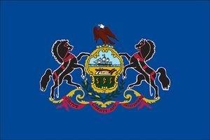 Pennslyvania State Flag with Stick 4" x 6" | 1 Count - Zurchers