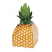Pineapple Favor Box | 6 ct - Zurchers