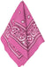 Pink Bandana | 1ct - Zurchers