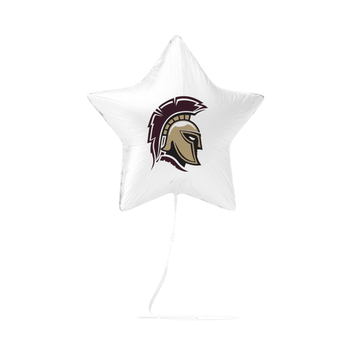 Rigby HS ID  Balloon 17" | 1ct