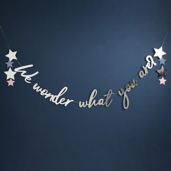 Silver & Blue We Wonder What You Are Banner | 1ct - Zurchers