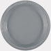 50ct 10in Plastic Plate Silver - Party Supplies