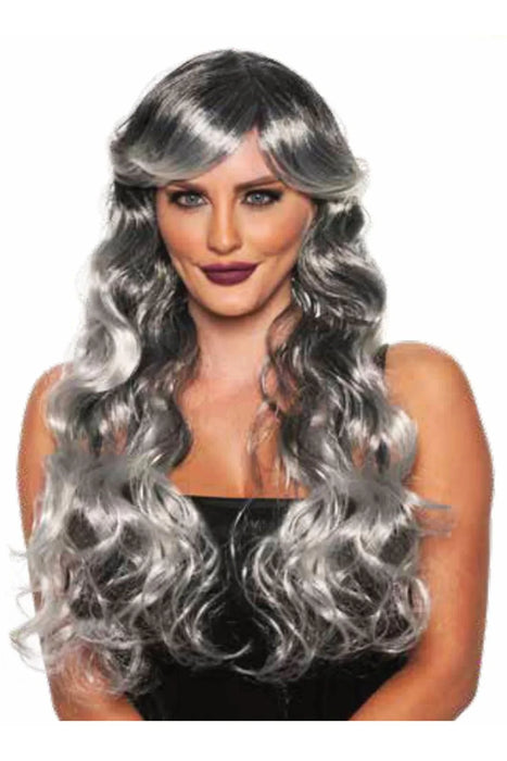 Silver/Black Long Curly Wig | 1ct - Zurchers