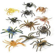 Spiders | 12ct - Zurchers