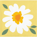 Sweet Daisy Paper Beverage Napkins | 16 ct - Zurchers