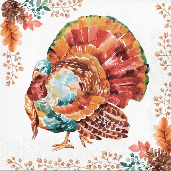 Tasteful Turkey - Luncheon Napkin 2 Ply 16 Ct - Zurchers