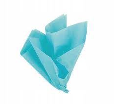 Teal Tissue Paper | 10ct
