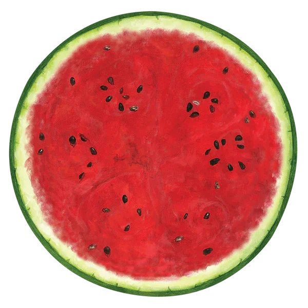 Watermelon Placemat 16" | 12 Count - Zurchers