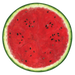 Watermelon Placemat 16" | 12 Count - Zurchers