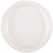 50ct 10in Plastic Plate White - Party Supplies