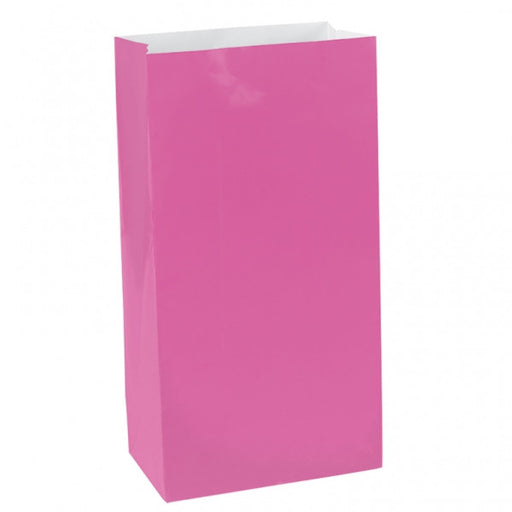 Bright Pink Mini Paper Sack | 12 ct