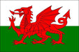 Wales Flag with Stick | 4" x 6"