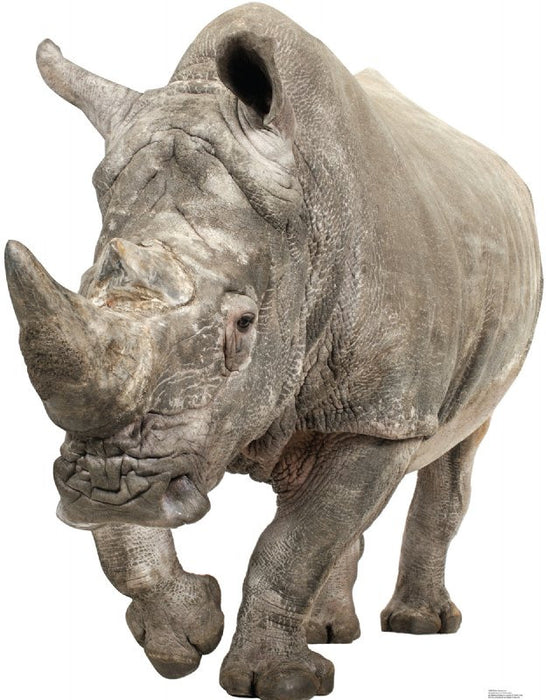 White Rhinoceros Lifesize Standup