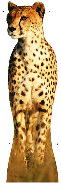 Cheetah Lifesize Standup