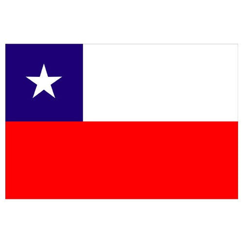 Chile Flag with Stick | 4" x 6"
