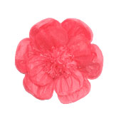 20" Scallop Shaped Red Tissue Flower | 1ct