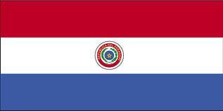 Paraguay Flag with Stick | 4" x 6"