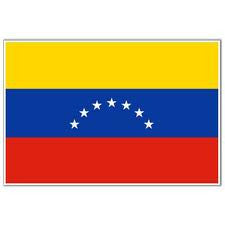 Venezuela Flag with Stick | 4" x 6"