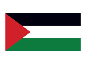 Palestine Flag with Stick | 4" x 6"