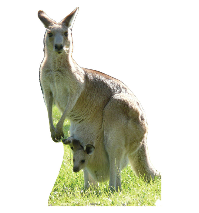 Kangaroo Lifesize Standup