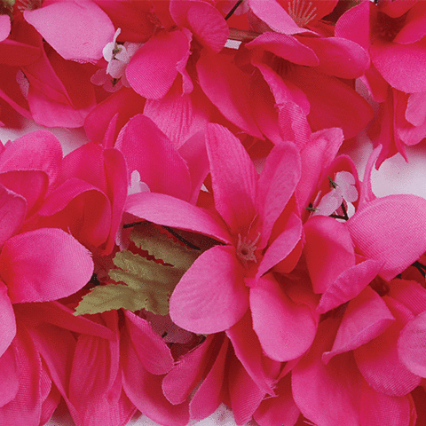 Pink Plumeria Flower Lei | 1ct