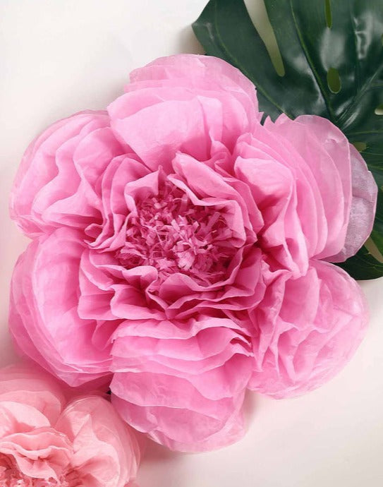 Scallop Shaped Tissue Flower 20" | 1ct