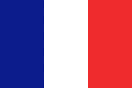 France Flag | 3' x 5'
