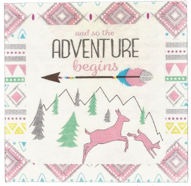 The Adventure Begins Girl Lunch Napkins | 16ct